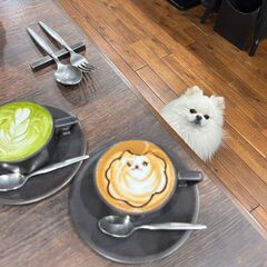 幹部候補生募集！ 店舗運営からマーケティングやブランディングを実践的に学びキャリアアップを目指すの画像