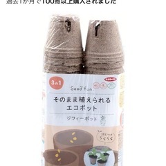 ジフィーポット、エコポット、洋蘭の堆肥、君子ランの土の画像