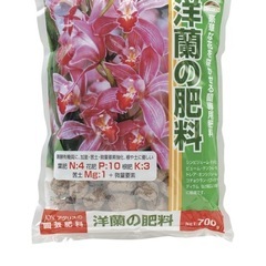 ジフィーポット、エコポット、洋蘭の堆肥、君子ランの土の画像