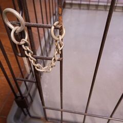 犬　ケージサークルの画像