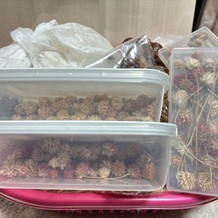 ドライフラワー(スワッグ作り等、ハンドメイド資材)の画像