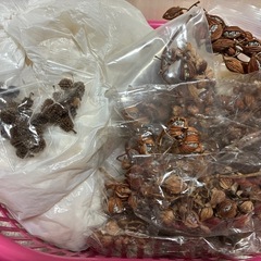 ドライフラワー(スワッグ作り等、ハンドメイド資材)の画像