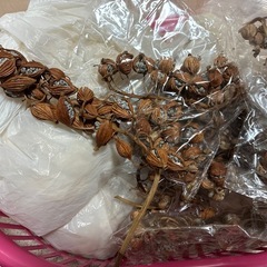 ドライフラワー(スワッグ作り等、ハンドメイド資材)の画像