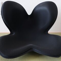 MTG Style スタンダード　骨盤サポート　赤・黒二脚まとめての画像