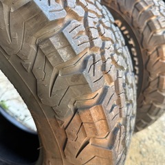 BFグッドリッジ５本セット
の画像