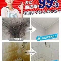 未開封新品★カビ取りスプレー カビ取り剤 スプレー付きの画像