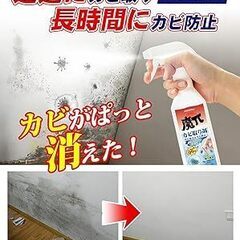 未開封新品★カビ取りスプレー カビ取り剤 スプレー付きの画像
