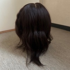 レジーナcutｰ66の画像