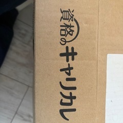 メンタル総合心理W資格取得口座 キャリカレの画像