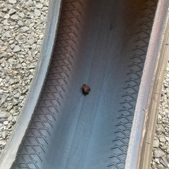 タイヤ2本の画像