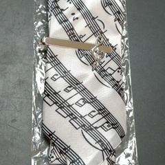 新品　ネクタイとネクタイピン　１セットの画像