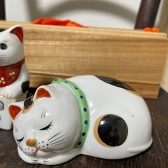 猫三匹セットの画像