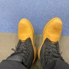 Timberlandの画像