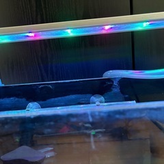 水槽セットの画像