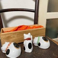 猫三匹セットの画像