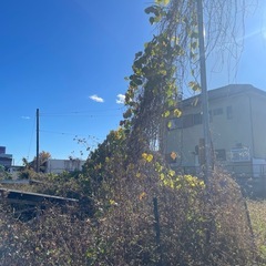 草刈り🌱スタッフ募集の画像