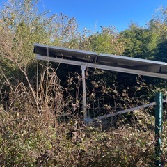 草刈り🌱スタッフ募集の画像