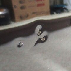 2ドア冷蔵庫 146L 2018年製 三菱 ブラック MR-P15C-B 100Lクラス☆ 札幌市 北区 屯田 の画像