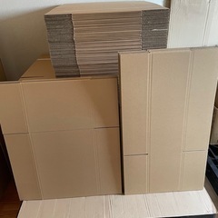 ダンボール　新品の画像