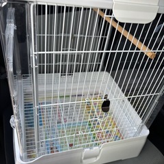鳥かご クリアケース バードケージ
の画像