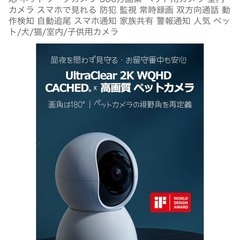 ペットカメラ、防犯カメラの画像