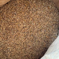 もち米のクズ米　くず米、１７０キロの画像