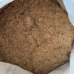 もち米のクズ米　くず米、１７０キロの画像