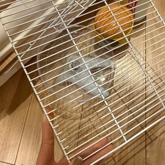 ハムスター用ゲージ　　の画像