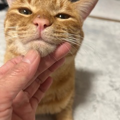 スリゴロな可愛い子🤎1歳♪