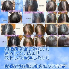 『moea』年末年始お休みのお知らせです🐴