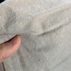 studio CLIP コクーン ブラウス F☆の画像