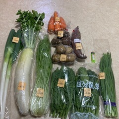 野菜10品セット 2種の画像