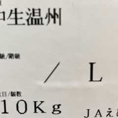 愛媛中生温州みかん1箱の画像