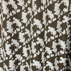 ディズニー カーテンの画像