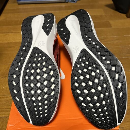 ＮＩＫＥ　エアズーム　ペガサス４１