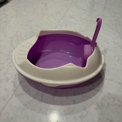 猫トイレ 子猫用の画像