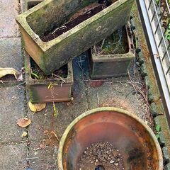植木鉢・プランター　差し上げます。の画像