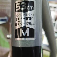 中古 グラベルバイク MASI TAVOLO Tiagra （2021モデル）の画像