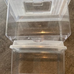 虫かご2個セットの画像