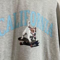 SHEIN メンズ トレーナー XLの画像