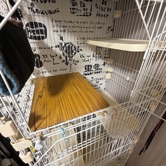 猫ケージの画像