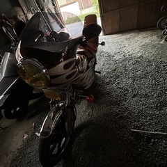 GX250 よく吸い込みます。  の画像