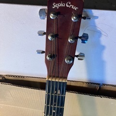 今週限定！Sepia Crue（セピアクルー）アコースティックギターの画像