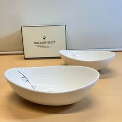 PRECIOUS SELECT リーニュ ペアオーバルプレートの画像