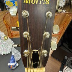 ✨️ジモティー割引✨️【ジャングルジャングル堺初芝店】 Morris モーリス アコースティックギター　WE-30　堺市（東区　西区　北区　南区　堺区　美原区）高石市　泉大津市　忠岡町　和泉市　松原市　大阪狭山市の画像