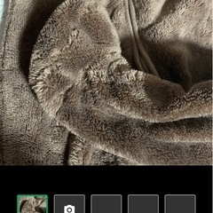 現金も可　茶色クマ74の画像