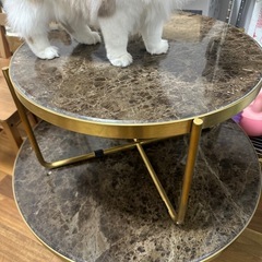 マーブルコーヒーテーブルの画像