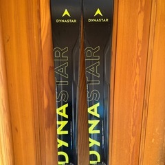 DYNASTAR製　スピードゾーン10 175cmの画像