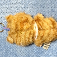 カワイイぬいぐるみの画像