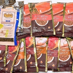 ドッグフード1.4㌔🐶おまけ付き‼︎の画像